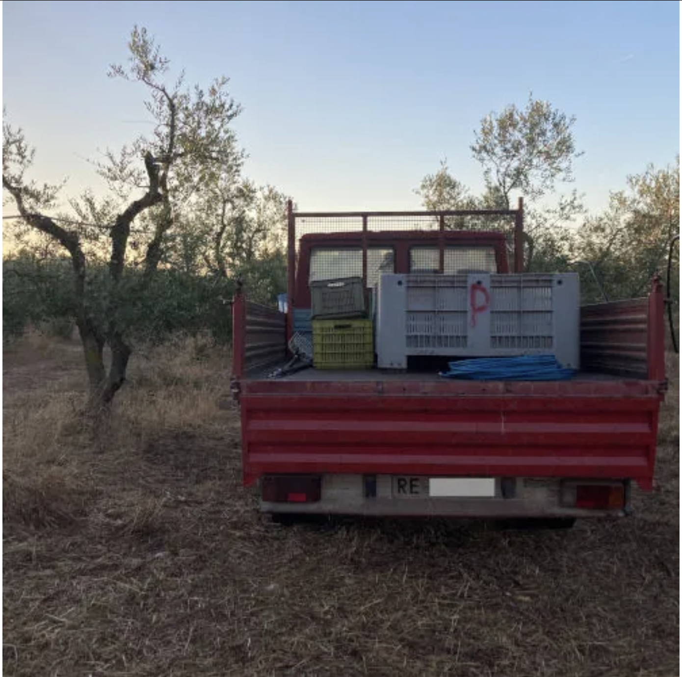 Just Published: Zachary La Rock, “Two sides of the same Euro: A field note on recent farmer protests from southern Italy.”